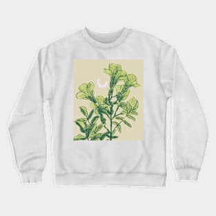 Luna | Mint Version Crewneck Sweatshirt